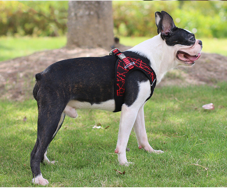 Soft & Breathable Dog Harness - Fluffs Club