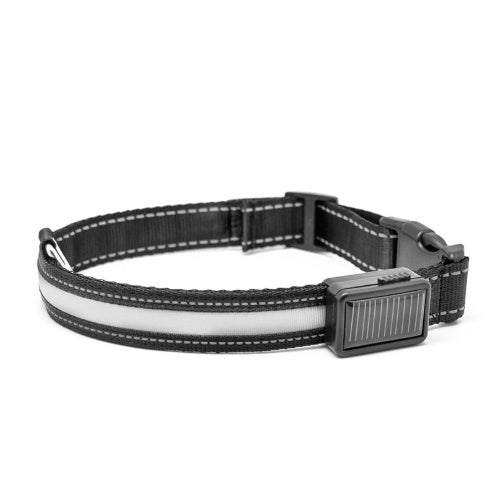 Dual Charging LED Dog Collar - My Store
