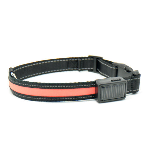 Dual Charging LED Dog Collar - My Store