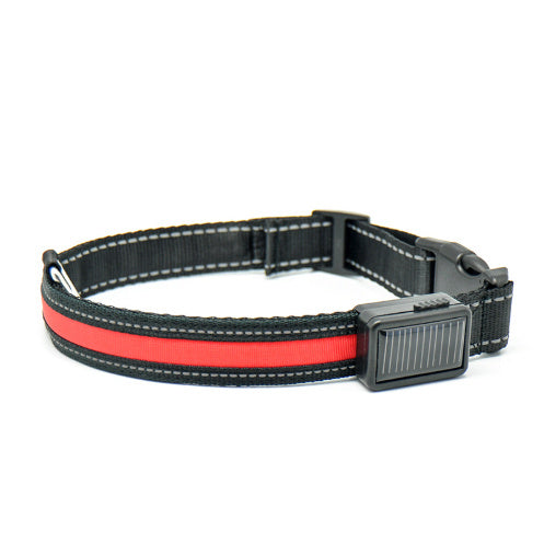 Dual Charging LED Dog Collar - My Store