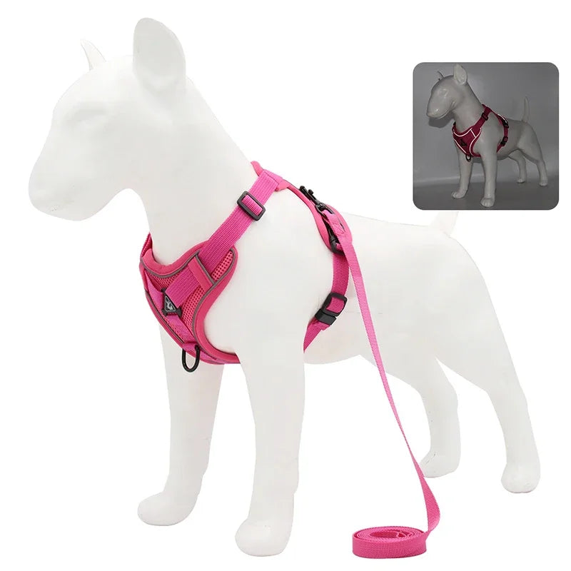 Secure, Padded & Reflective Harness and Lead Set - My Store