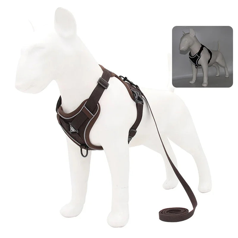 Secure, Padded & Reflective Harness and Lead Set - My Store