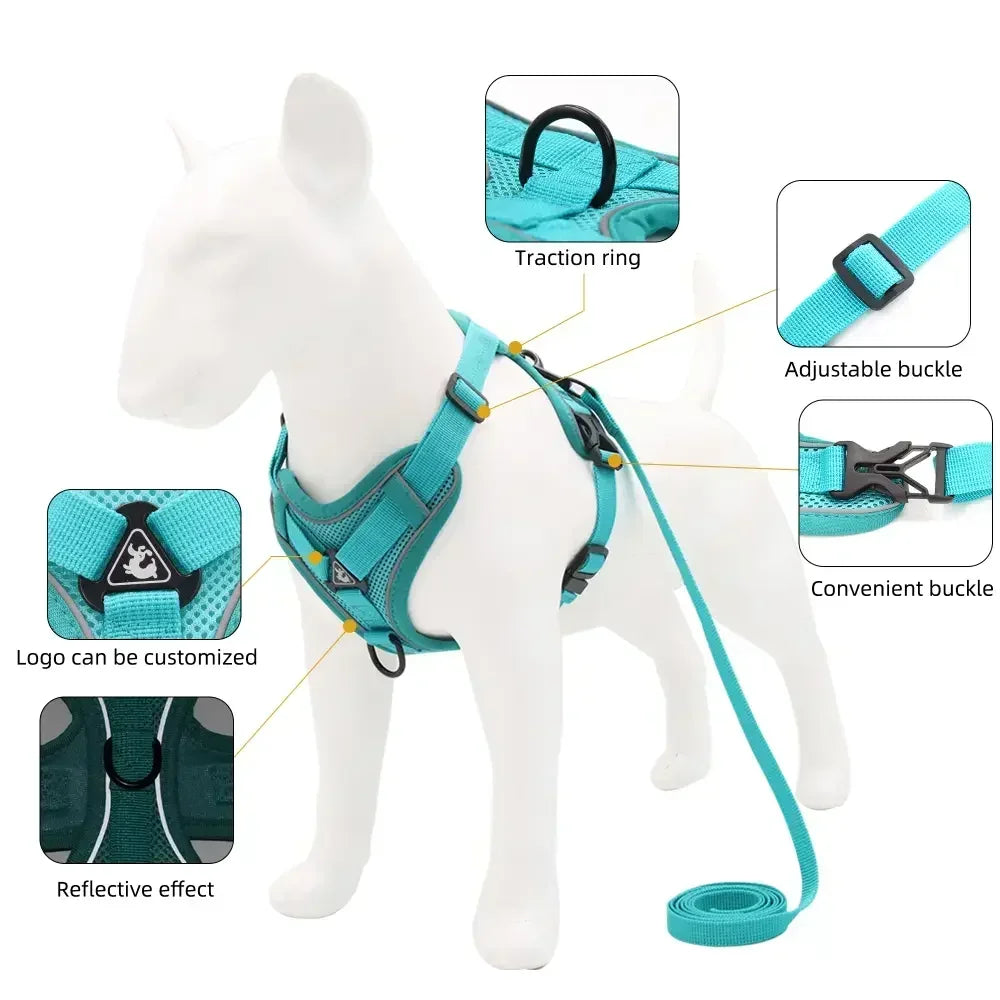 Secure, Padded & Reflective Harness and Lead Set - My Store
