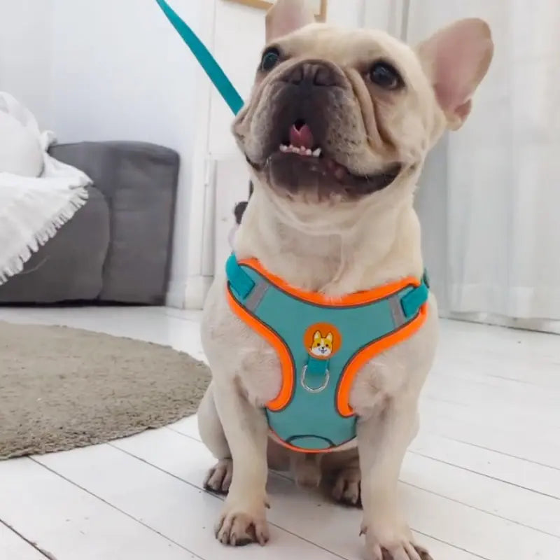 Reflective and Padded No-Pull Harness & Leash Set - My Store