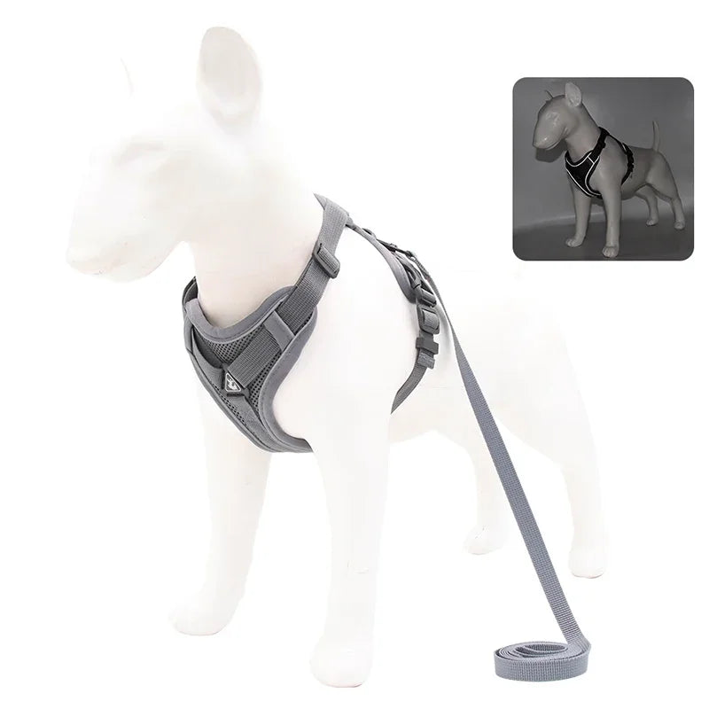 Secure, Padded & Reflective Harness and Lead Set - My Store