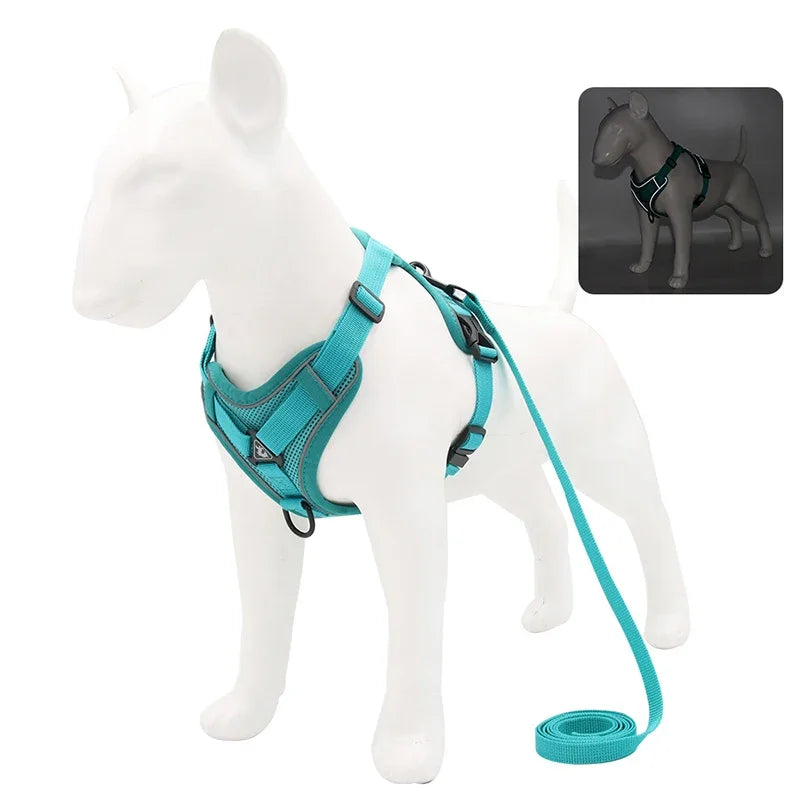 Secure, Padded & Reflective Harness and Lead Set - My Store