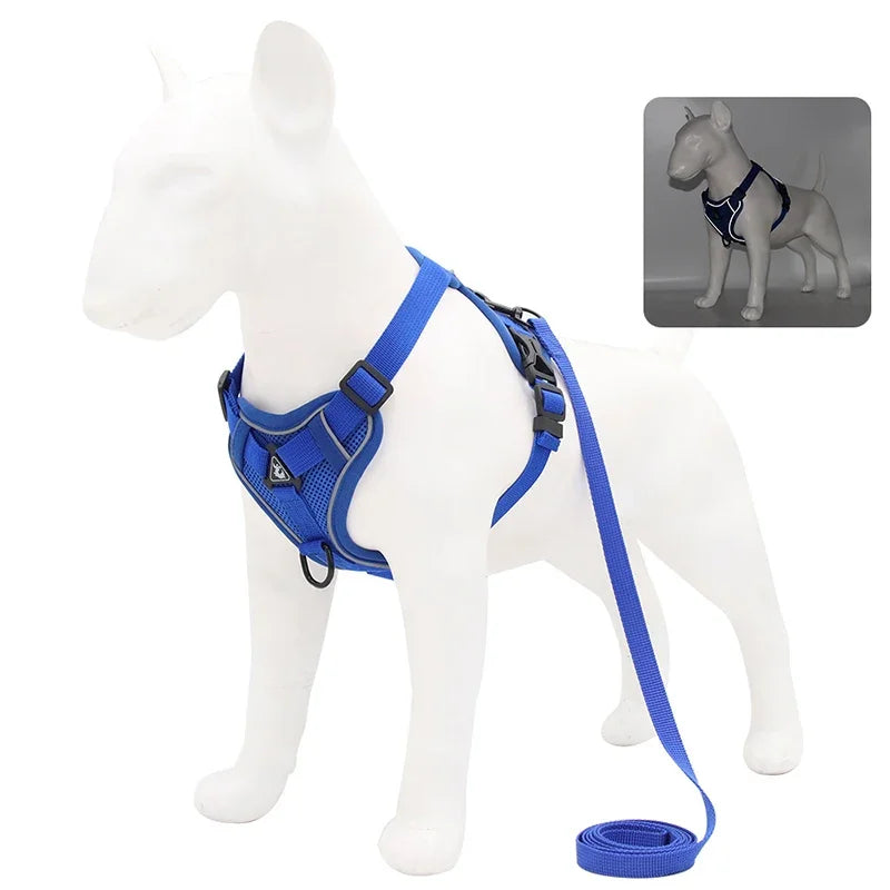 Secure, Padded & Reflective Harness and Lead Set - My Store
