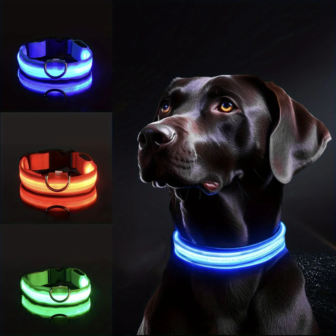 Reflective LED Dog Collar – Night Safety with 3 Light Modes - My Store