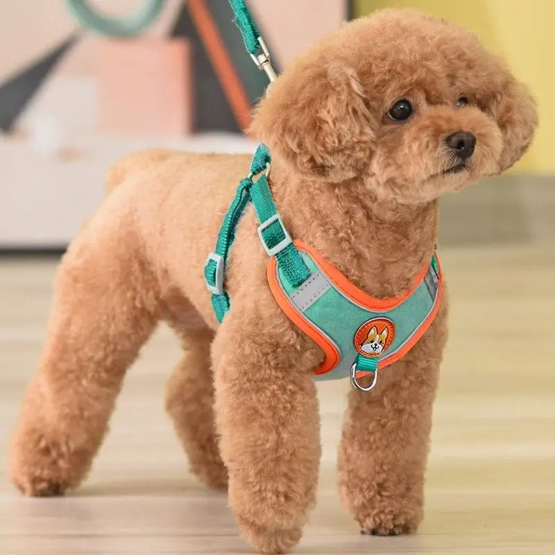Reflective and Padded No-Pull Harness & Leash Set - My Store