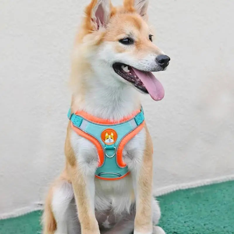 Reflective and Padded No-Pull Harness & Leash Set - My Store