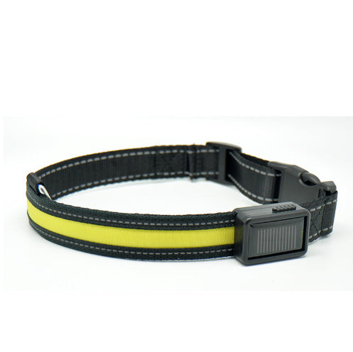 Dual Charging LED Dog Collar - My Store