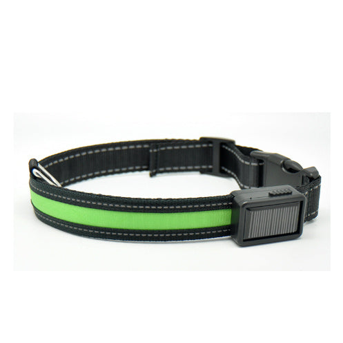 Dual Charging LED Dog Collar - My Store