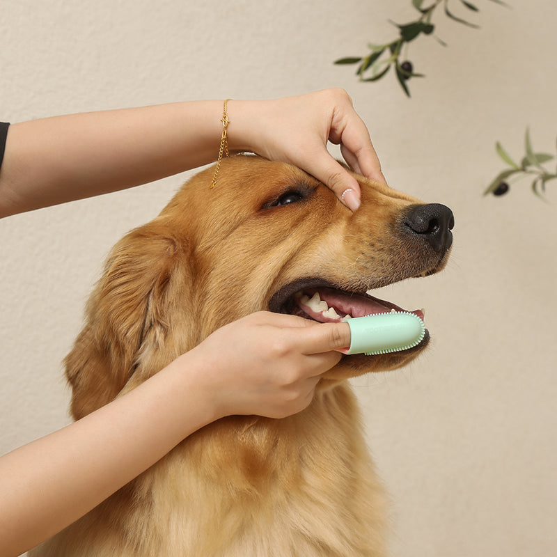 180° Soft Silicone Pet Toothbrush Dog & Cat Finger Brush - Fluffs Club