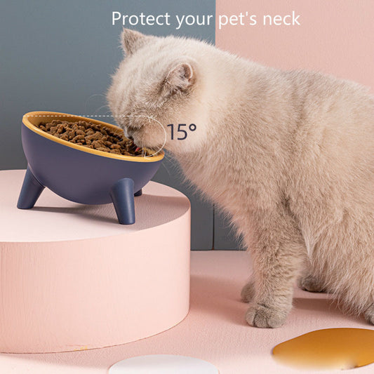 Ergonomic Tilted Pet Bowl with Stand – Stylish & Spill-Resistant - My Store
