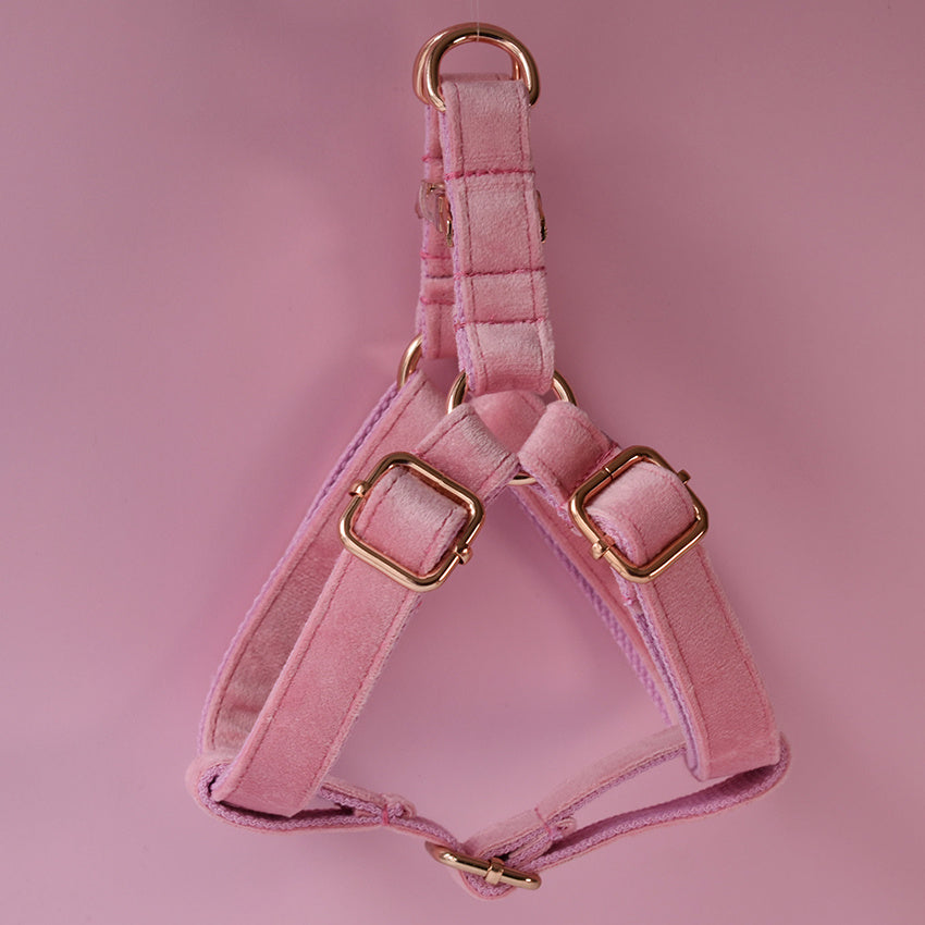 Adjustable Soft Dog Harness & Leash Set - Fluffs Club