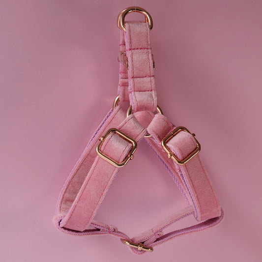 Adjustable Soft Dog Harness & Leash Set - Fluffs Club