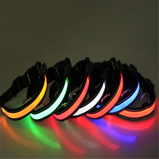 Dual Charging LED Dog Collar - My Store