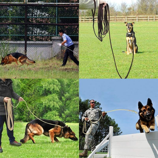 Long Dog Training Leash – 3M to 10M - Fluffs Club