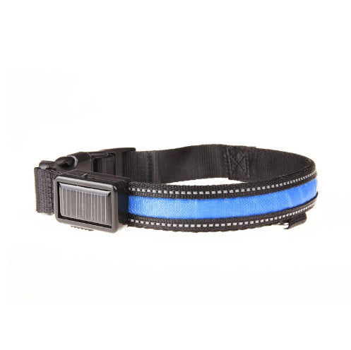 Dual Charging LED Dog Collar - My Store