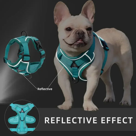 Secure, Padded & Reflective Harness and Lead Set - My Store