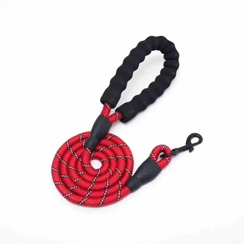 Reflective Nylon Dog Leash – Strong, Safe & Comfortable - My Store