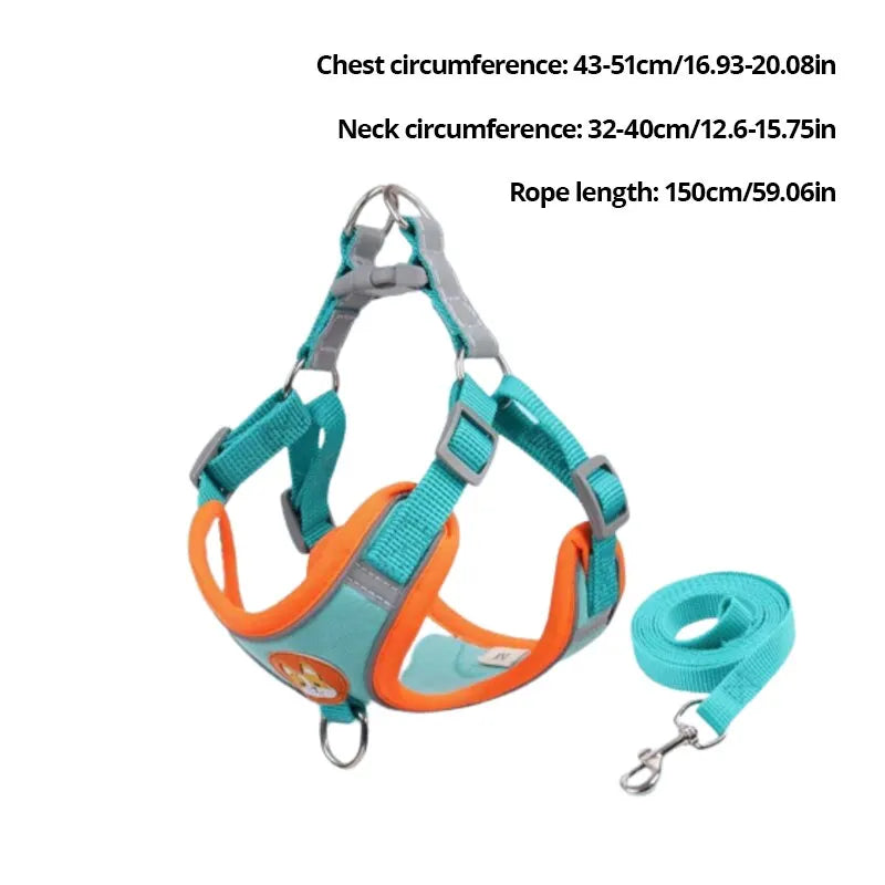 Reflective and Padded No-Pull Harness & Leash Set - My Store