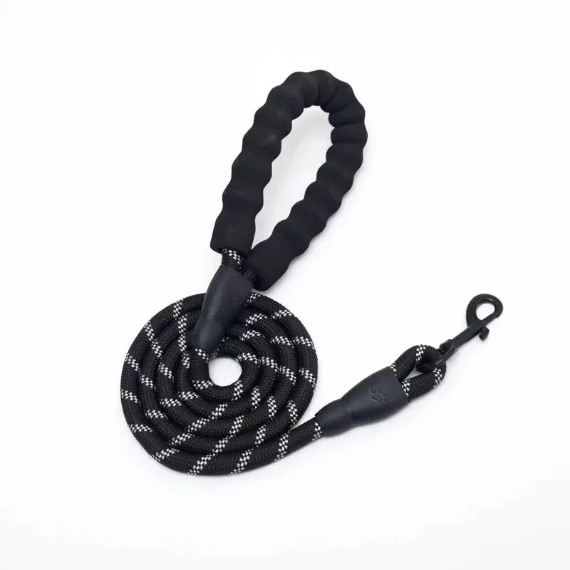 Reflective Nylon Dog Leash – Strong, Safe & Comfortable - My Store