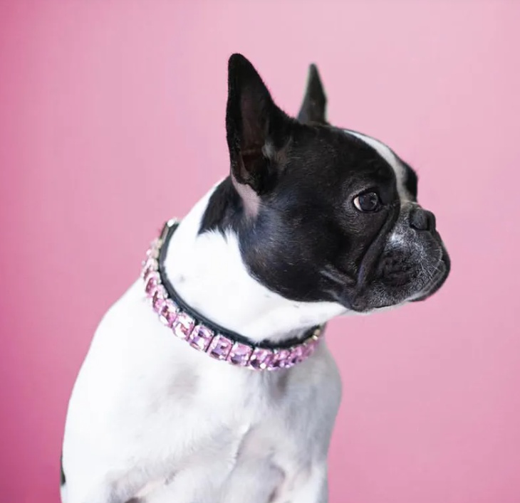 Adjustable Faux Leather Diamond Diva Dog Collar