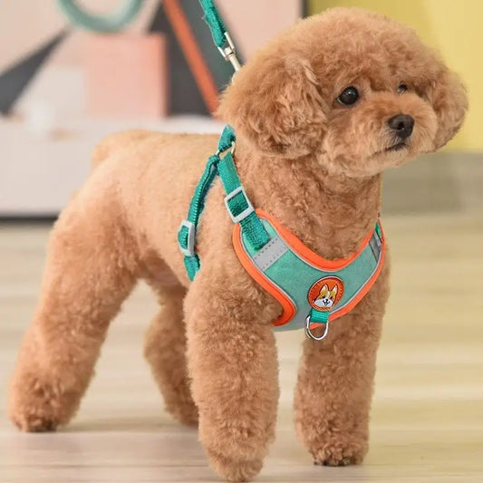 Reflective and Padded No-Pull Harness & Leash Set - My Store