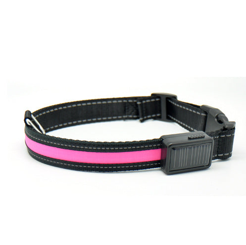Dual Charging LED Dog Collar - My Store
